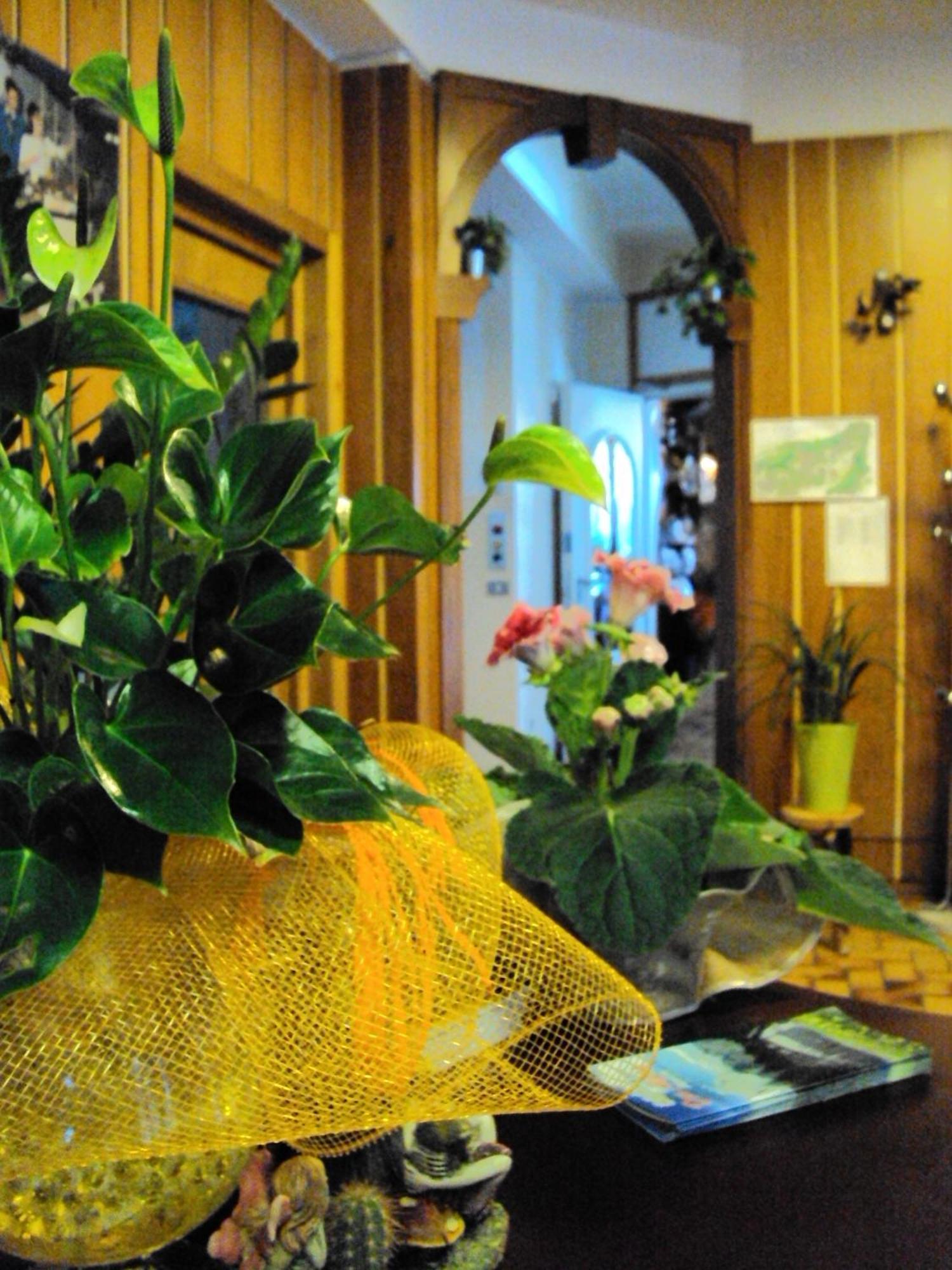 Hotel Des Alpes Castione della Presolana Εξωτερικό φωτογραφία