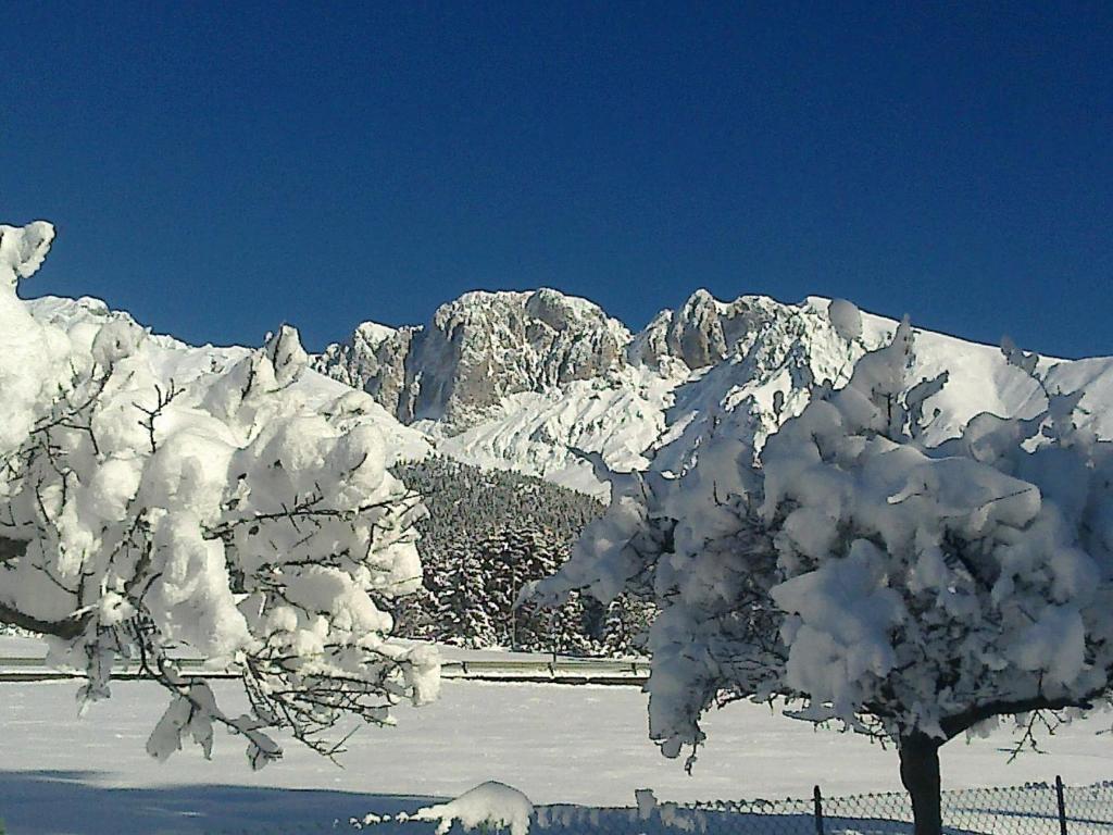 Hotel Des Alpes Castione della Presolana Εξωτερικό φωτογραφία