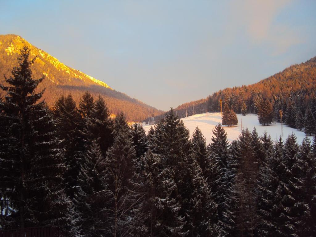 Hotel Des Alpes Castione della Presolana Δωμάτιο φωτογραφία