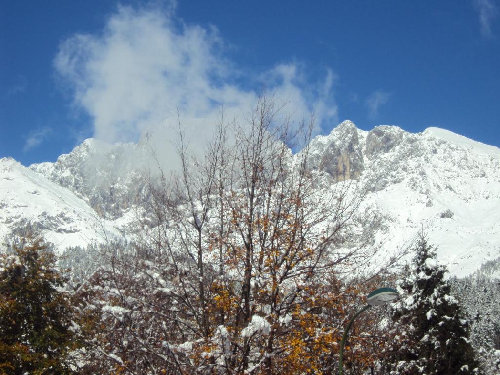 Hotel Des Alpes Castione della Presolana Δωμάτιο φωτογραφία