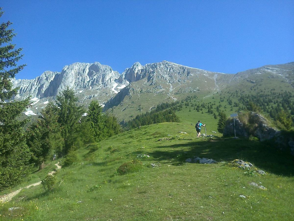 Hotel Des Alpes Castione della Presolana Εξωτερικό φωτογραφία