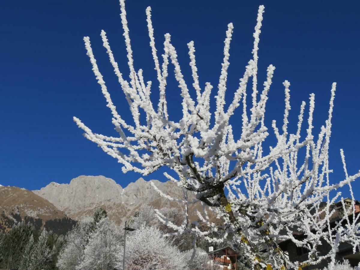 Hotel Des Alpes Castione della Presolana Εξωτερικό φωτογραφία